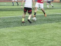 热刺半场,负富勒姆,威尔逊传射,世界杯半决赛,2026世界杯,半决赛赛程,晋级球队,最新资讯